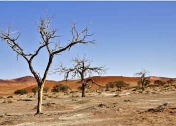 Desertification In Kebbi