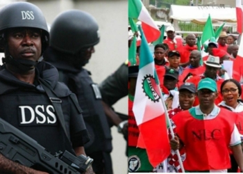 A photo collage of a DSS officer and NLC members during a protest action