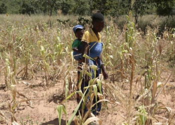 Zimbabwe Declares Drought Disaster