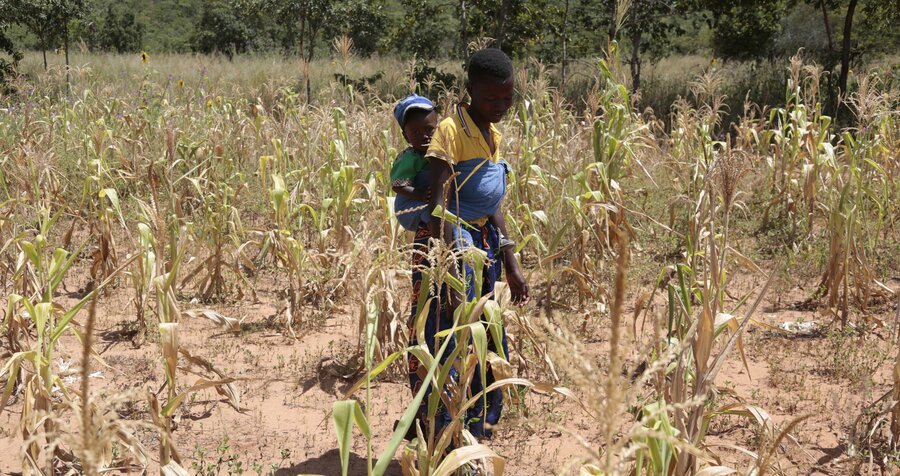 Zimbabwe Declares Drought Disaster