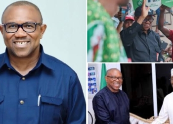 Opposition politics: Peter Obi