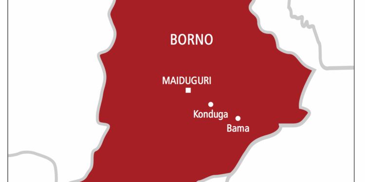 Borno state