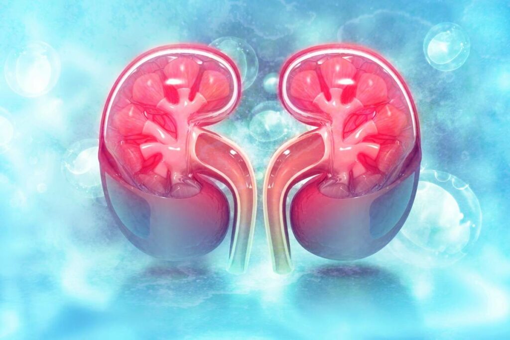 kidney dialysis