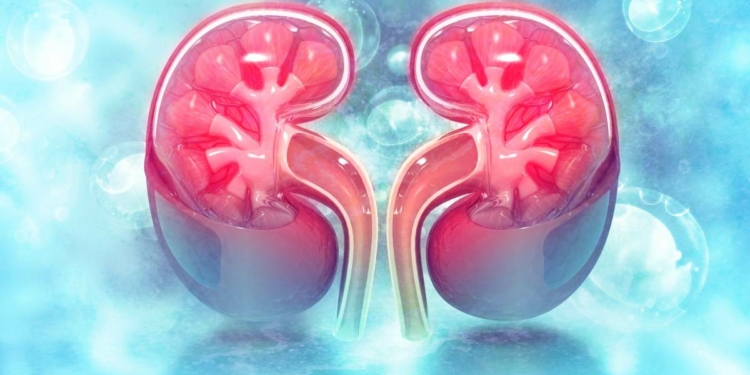 kidney dialysis