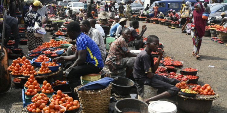 A woman walk past tomato vendors at Mile 12 food market in Lagos, on July 25, 2023. Nigeria's Small enterprises, petty traders, hustlers and consumers adjusting to the soaring costs of goods and services as a result fuel price hike, a direct effect of fuel subsidy removal are struggling to contend with the financial burden on operational costs and living conditions. (Photo by PIUS UTOMI EKPEI / AFP)