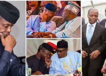 Yemi Osibanjo's journey in politics