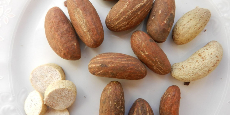 Benefits of Bitter Kola