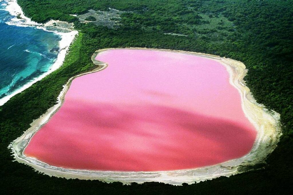 The Pink Lake – Lake Retba