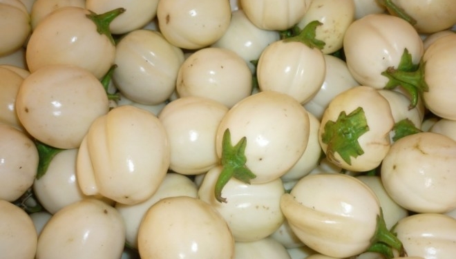 Garden egg, also known as the African eggplant on retail display