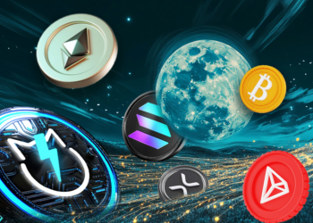 Which cryptocurrencies are the greatest bets at the moment?