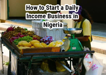How to Start a Daily Income Business in Nigeria