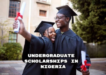 Undergraduate Scholarships in Nigeria
