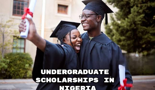 Undergraduate Scholarships in Nigeria