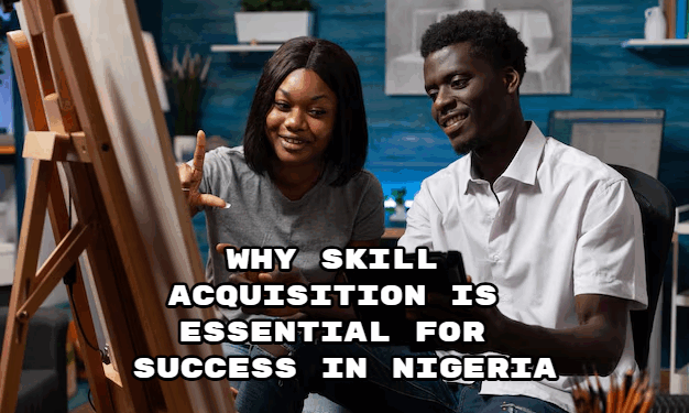 Why Skill Acquisition Is Essential for Success in Nigeria