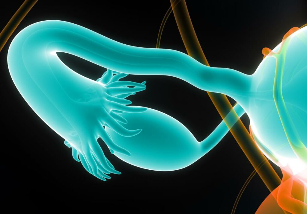 Blocked Fallopian Tube Representation