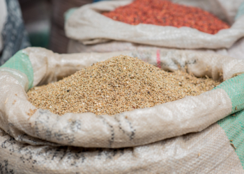 Health Benefits and Side Effects of Guinea Corn