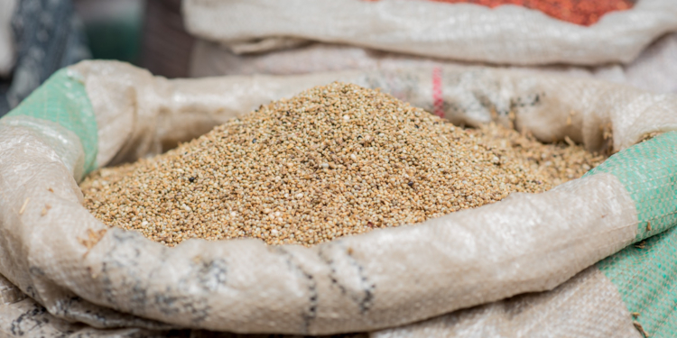 Health Benefits and Side Effects of Guinea Corn