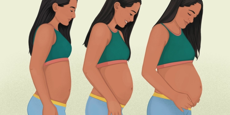 Early Pregnancy Stage