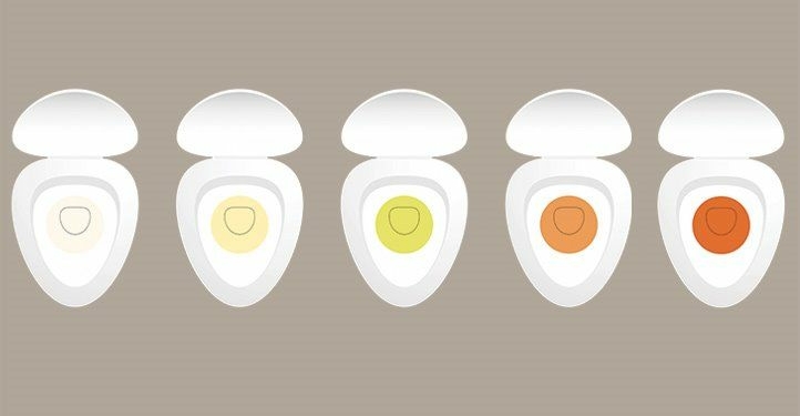 your Urine color