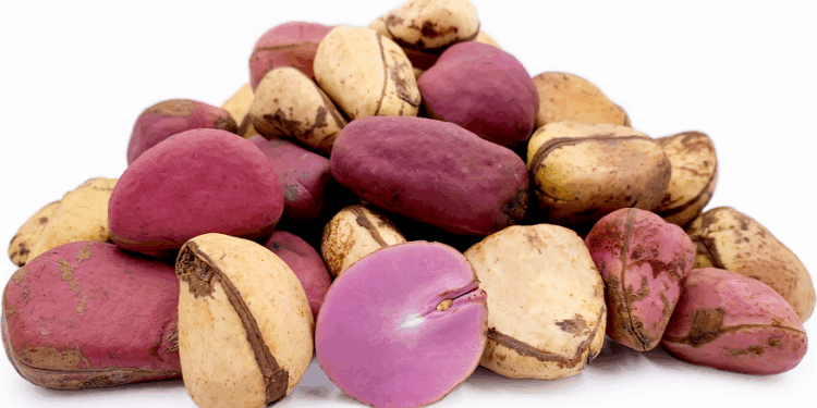 Incredible Benefits of Consuming Wonderful Kola