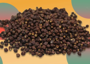 What are the Health Benefits of Uziza Seeds
