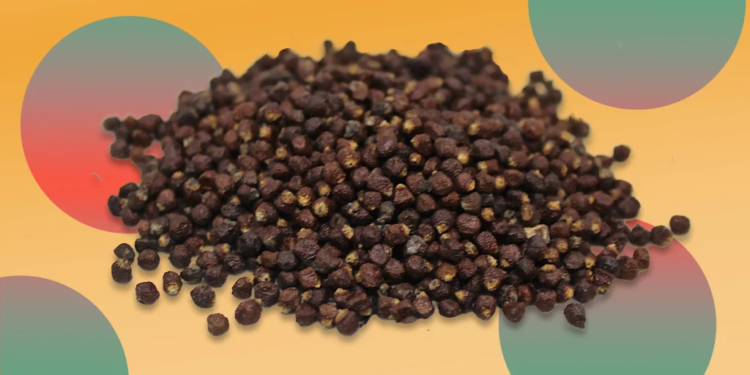 What are the Health Benefits of Uziza Seeds