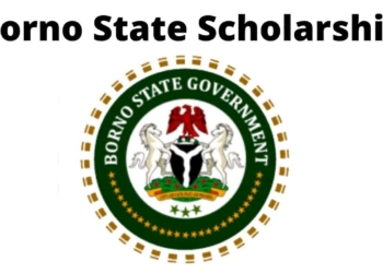 Borno State Scholarship Board Portal