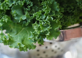 Health benefits of Kale