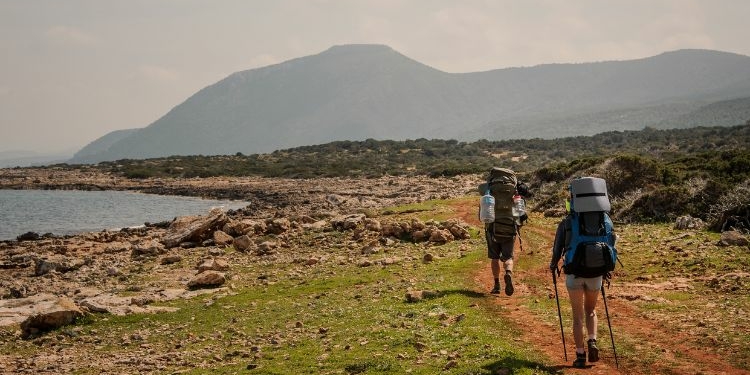 How to Find the Perfect Travel Partner