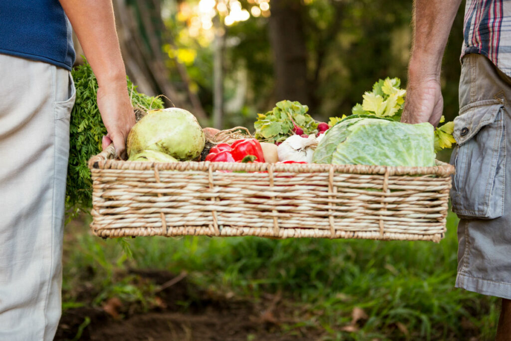 How to Fundraise for a Community Garden