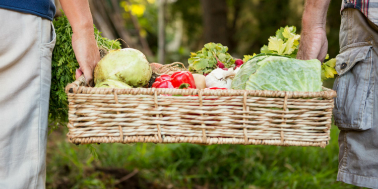 How to Fundraise for a Community Garden