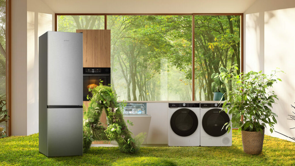 Eco-Friendly Home Appliances