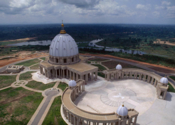 Disadvantages or Side Effects of Tiger Nuts