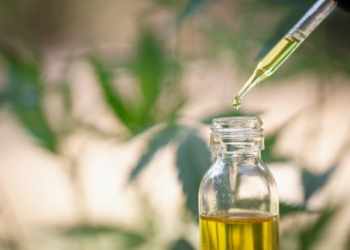 Everything you need to know about CBD Oil