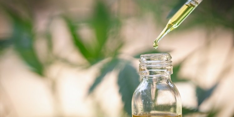 Everything you need to know about CBD Oil