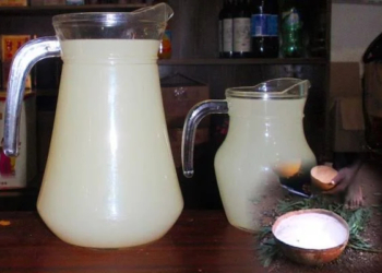 How to Make Palm Wine at Home