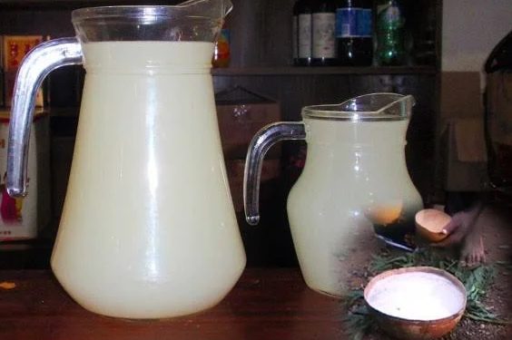 How to Make Palm Wine at Home