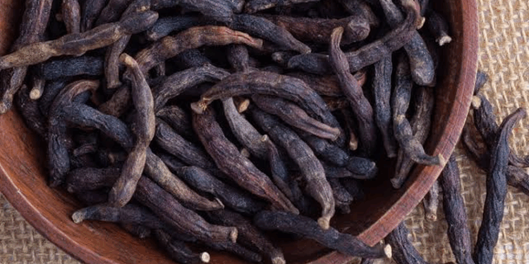 Uda Seed (Negro Pepper)