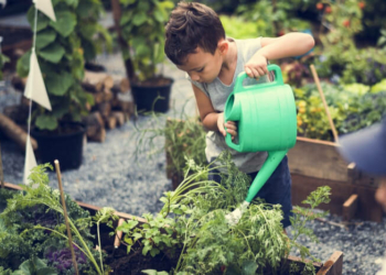 How To Care For Your Garden