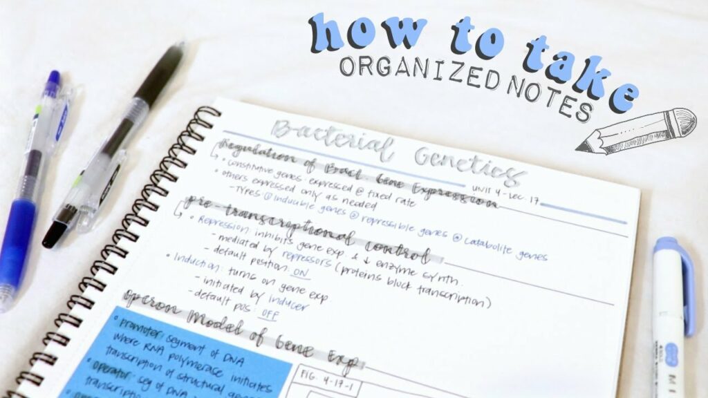 How To Organize Study Notes