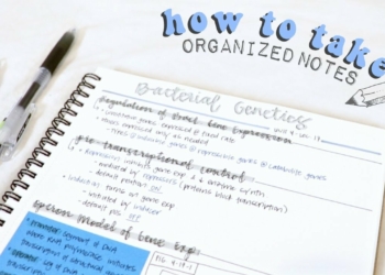 How To Organize Study Notes