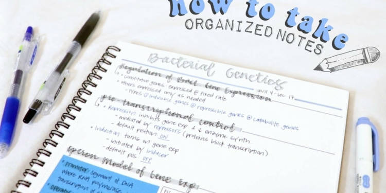 How To Organize Study Notes