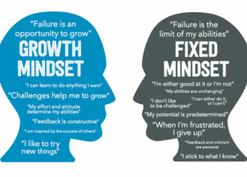 Types of Mindsets