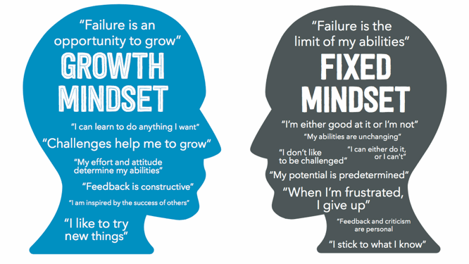 Types of Mindsets