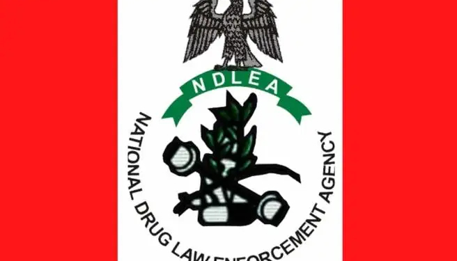 Full Meaning of NDLEA