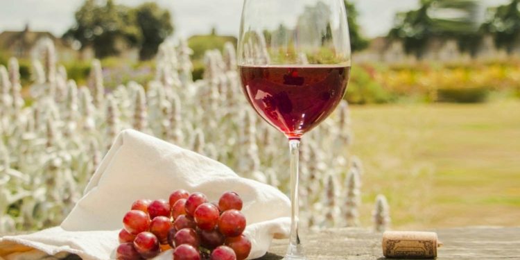 Health Benefits of Drinking Red Wine
