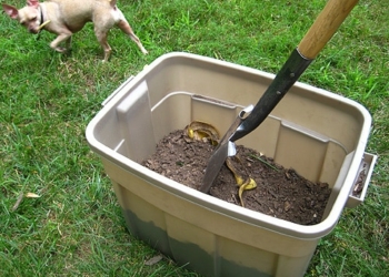 How to Make Your Own Compost Bin