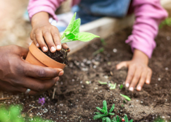 Scientific Reasons Why Gardening Is Good for You