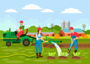 What are the Different Branches of Agriculture