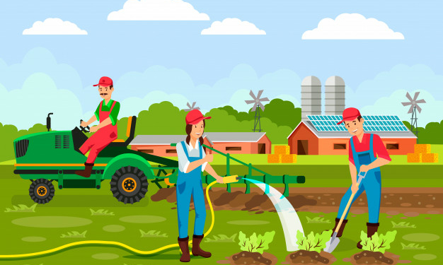 What are the Different Branches of Agriculture